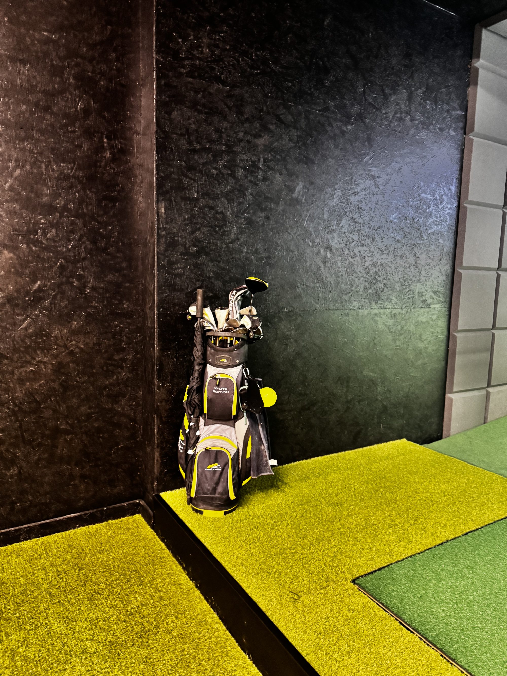 Pro sim golf